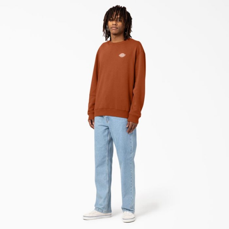 Dickies Holtville Sweatshirt Regular | AWXU9667