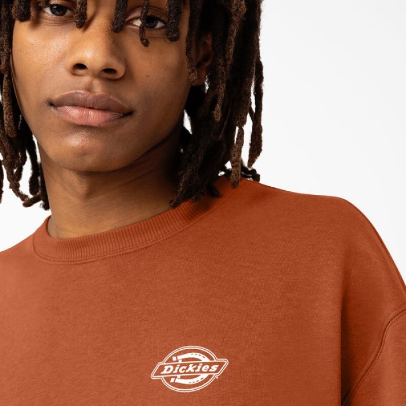 Dickies Holtville Sweatshirt Regular | AWXU9667