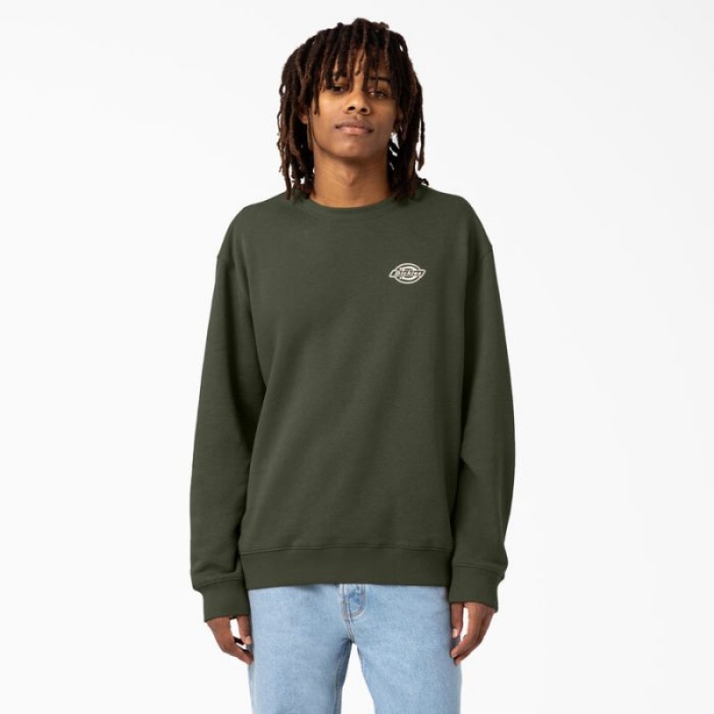 Dickies Holtville Sweatshirt Regular | HRGC9895