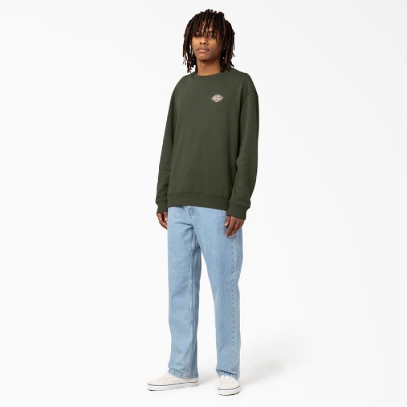 Dickies Holtville Sweatshirt Regular | HRGC9895