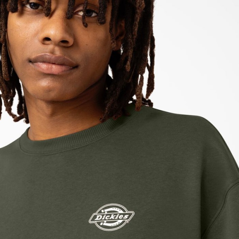 Dickies Holtville Sweatshirt Regular | HRGC9895