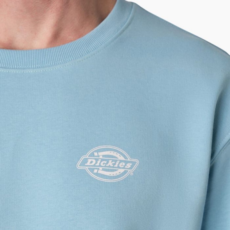 Dickies Holtville Sweatshirt Regular | THXZ4956