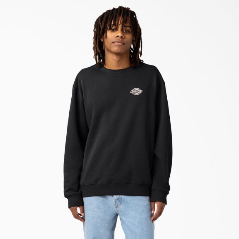Dickies Holtville Sweatshirt Regular | UETQ6209