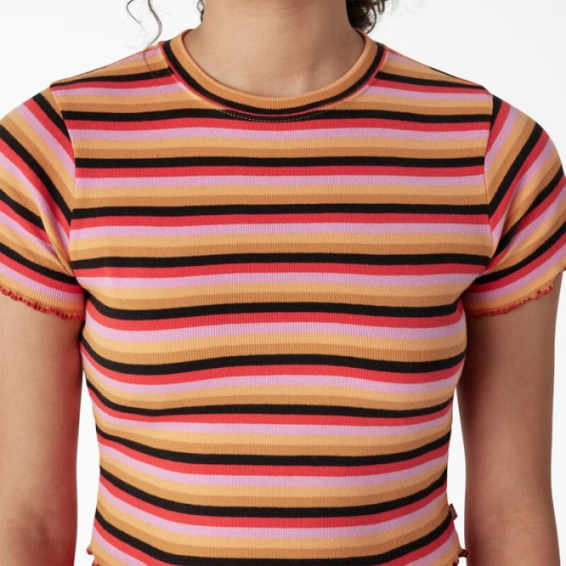 Dickies In Dungi Cropped Baby T-Shirt Portocalii | ARRV4874