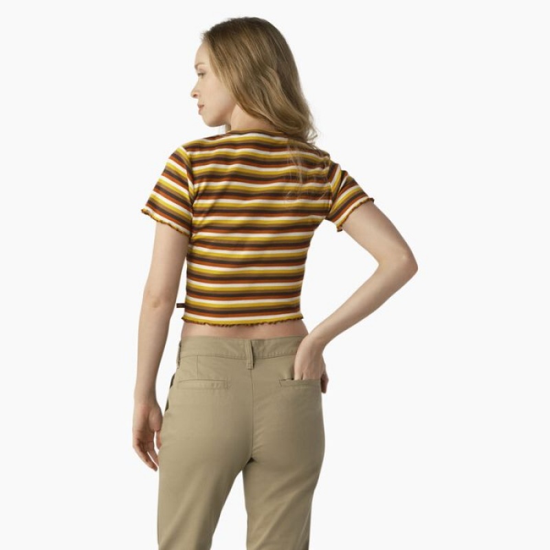 Dickies In Dungi Cropped Baby T-Shirt Portocalii | UERQ8216