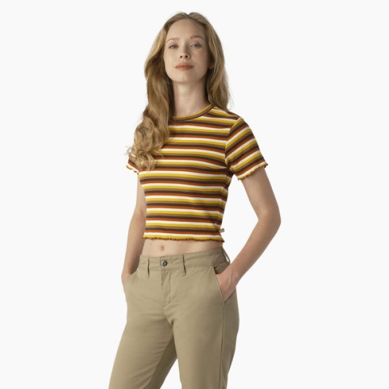 Dickies In Dungi Cropped Baby T-Shirt Portocalii | UERQ8216