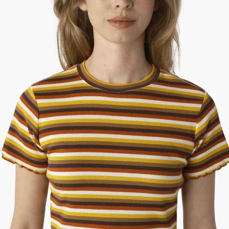 Dickies In Dungi Cropped Baby T-Shirt Portocalii | UERQ8216