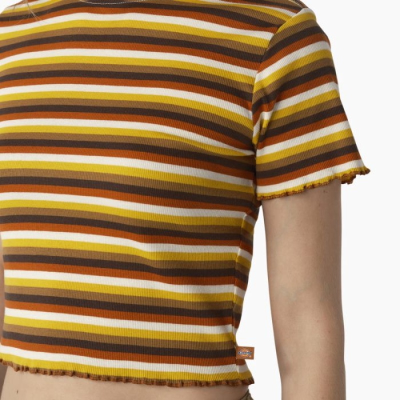 Dickies In Dungi Cropped Baby T-Shirt Portocalii | UERQ8216