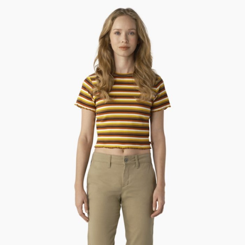 Dickies In Dungi Cropped Baby T-Shirt Portocalii | UERQ8216