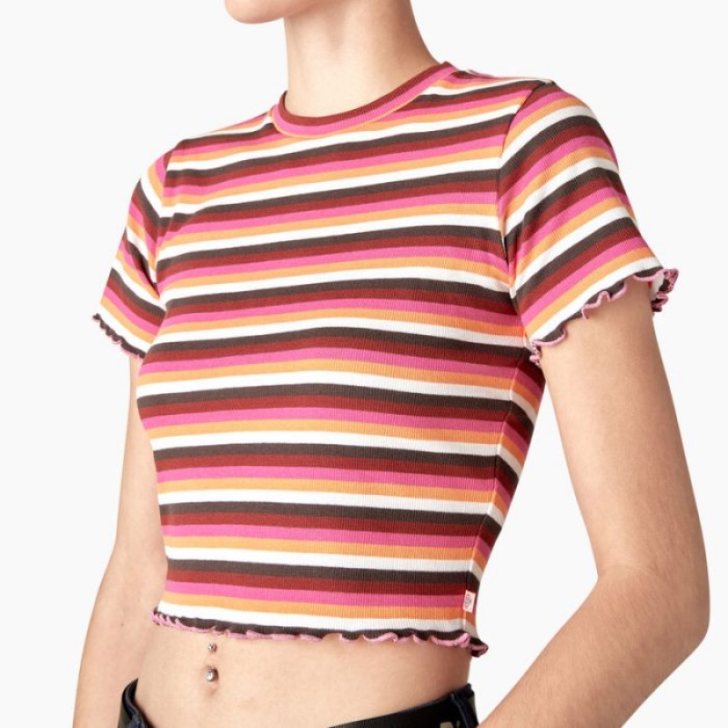 Dickies In Dungi Cropped Baby T-Shirt Roz Albi | ZAMS6081