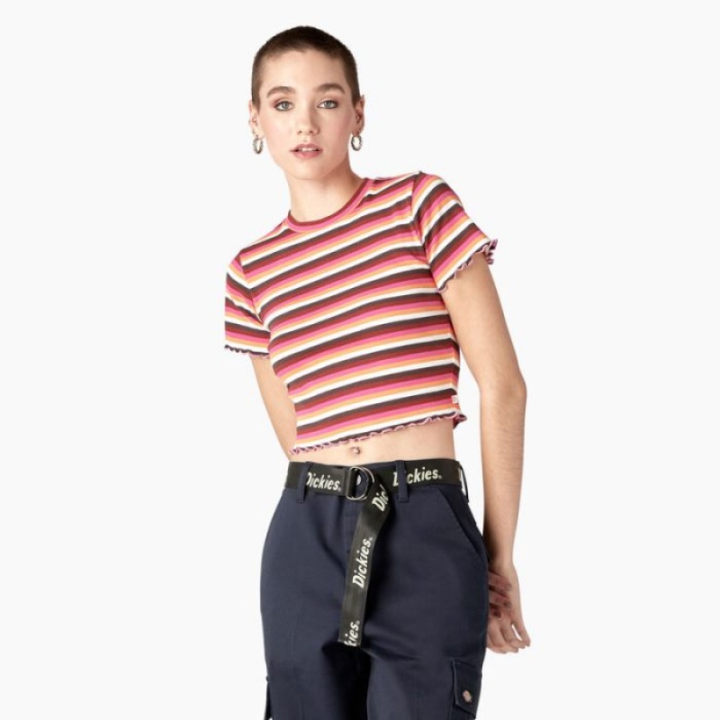 Dickies In Dungi Cropped Baby T-Shirt Roz Albi | ZAMS6081