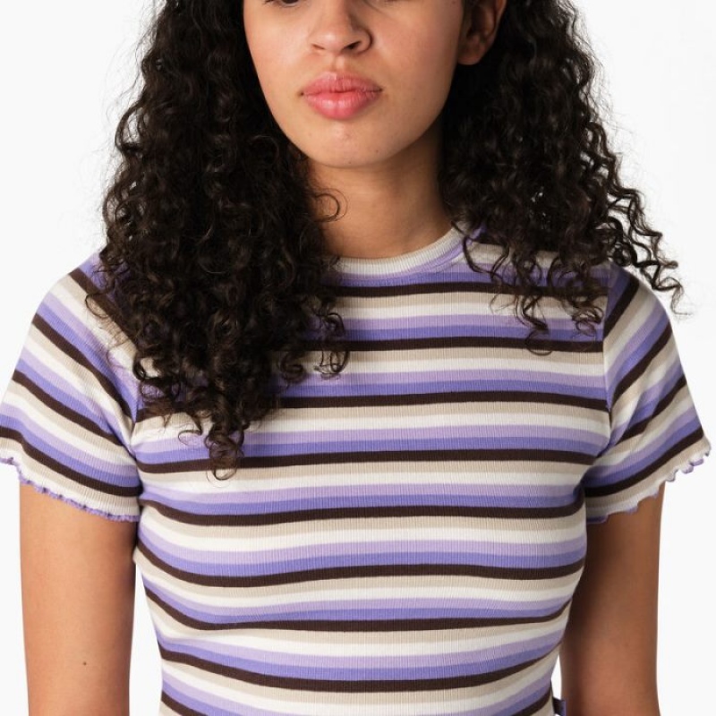 Dickies In Dungi Cropped Baby T-Shirt Violet Roz | GPIQ4548
