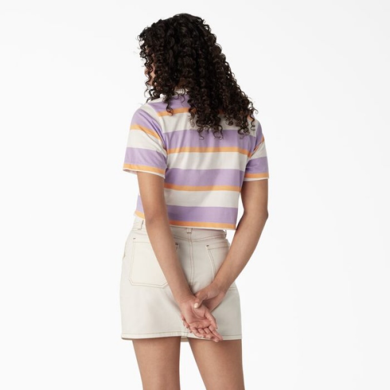 Dickies In Dungi Cropped Pocket T-Shirt Albi Violet | USRP9499