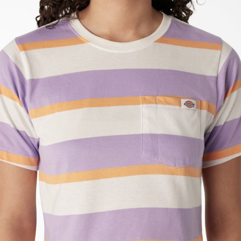 Dickies In Dungi Cropped Pocket T-Shirt Albi Violet | USRP9499