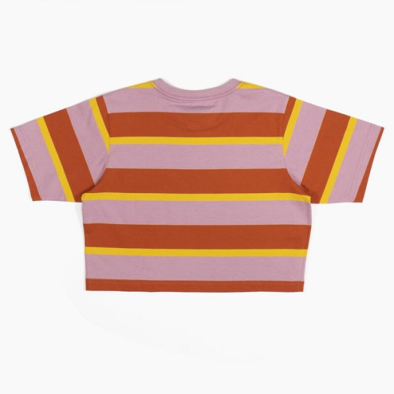 Dickies In Dungi Cropped Pocket T-Shirt Stripes | DREV3027