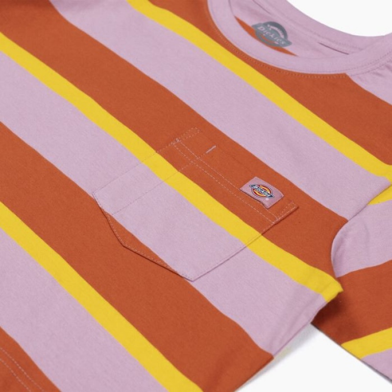 Dickies In Dungi Cropped Pocket T-Shirt Stripes | DREV3027