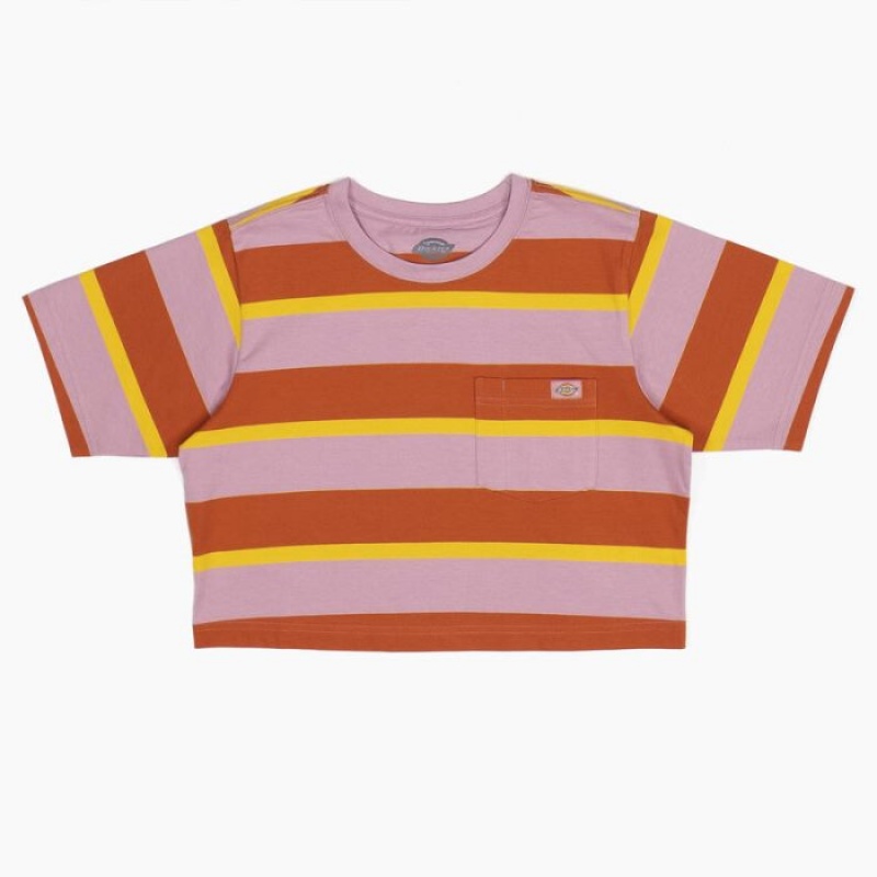 Dickies In Dungi Cropped Pocket T-Shirt Stripes | DREV3027
