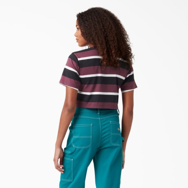 Dickies In Dungi Cropped Pocket T-Shirt Visinii | JNRU9576