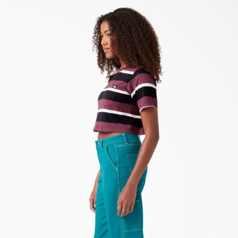 Dickies In Dungi Cropped Pocket T-Shirt Visinii | JNRU9576