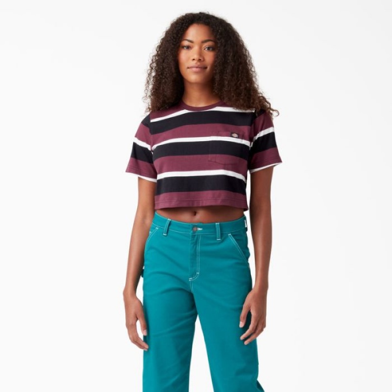 Dickies In Dungi Cropped Pocket T-Shirt Visinii | JNRU9576