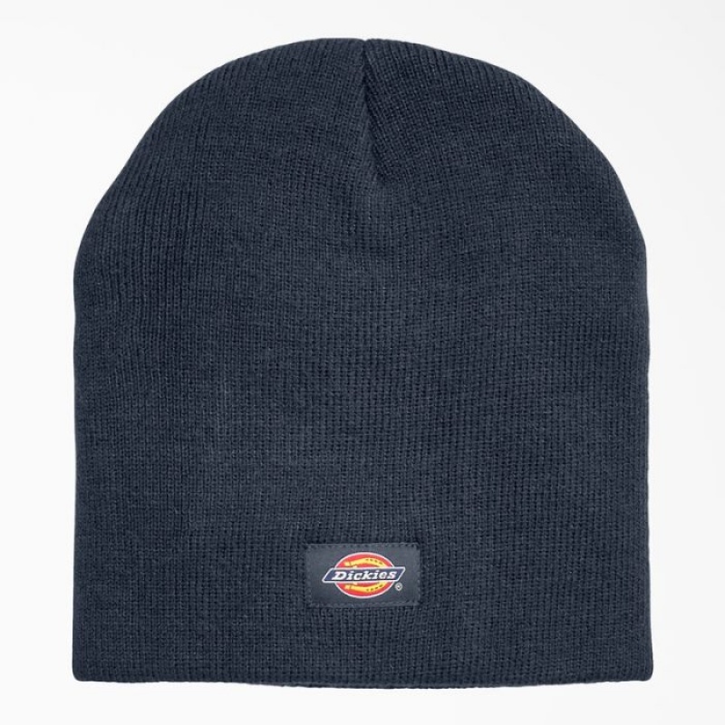 Dickies Insulated Beanie Bleumarin | SONB9323