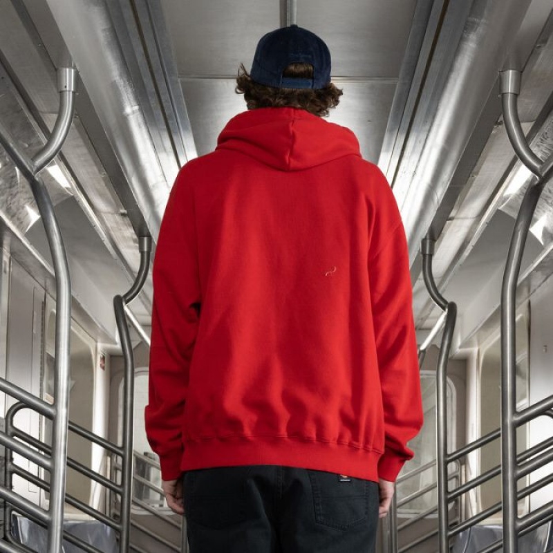 Dickies Jake Hayes Grafice Hoodie Regular | ITXK9601
