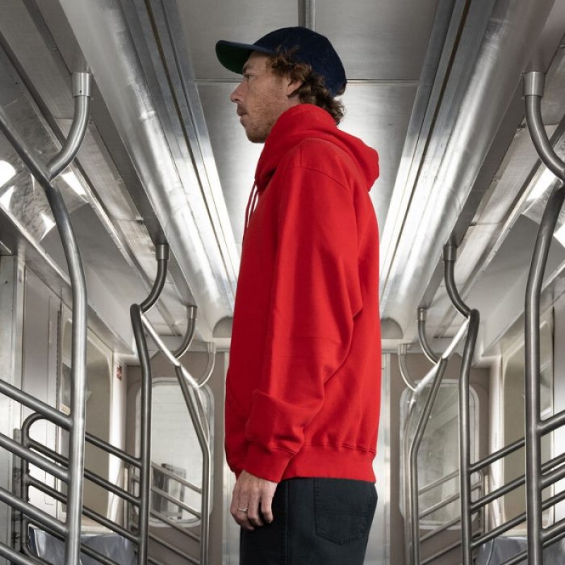 Dickies Jake Hayes Grafice Hoodie Regular | ITXK9601