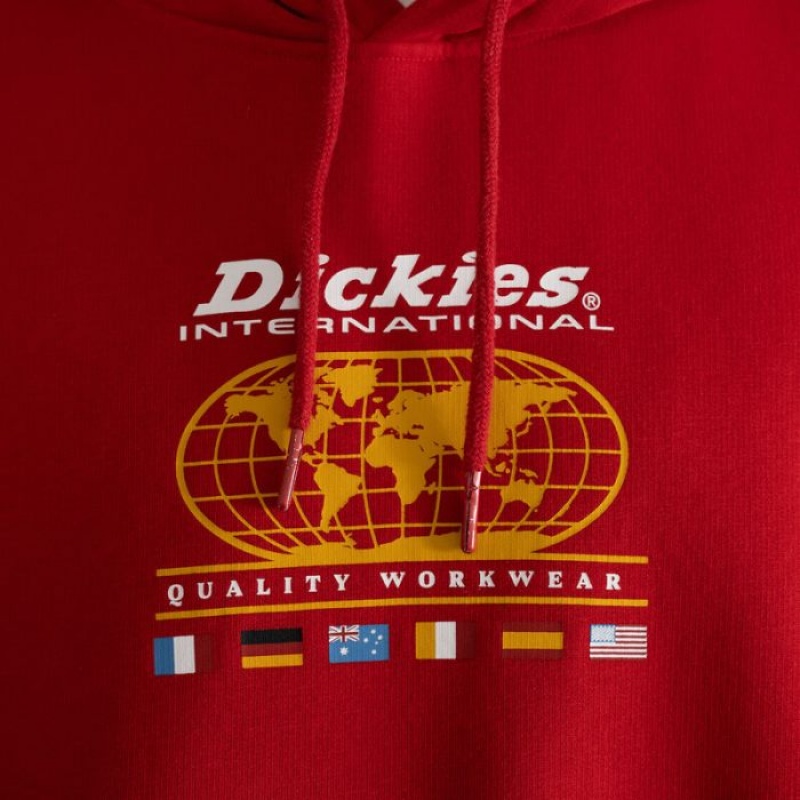 Dickies Jake Hayes Grafice Hoodie Regular | ITXK9601
