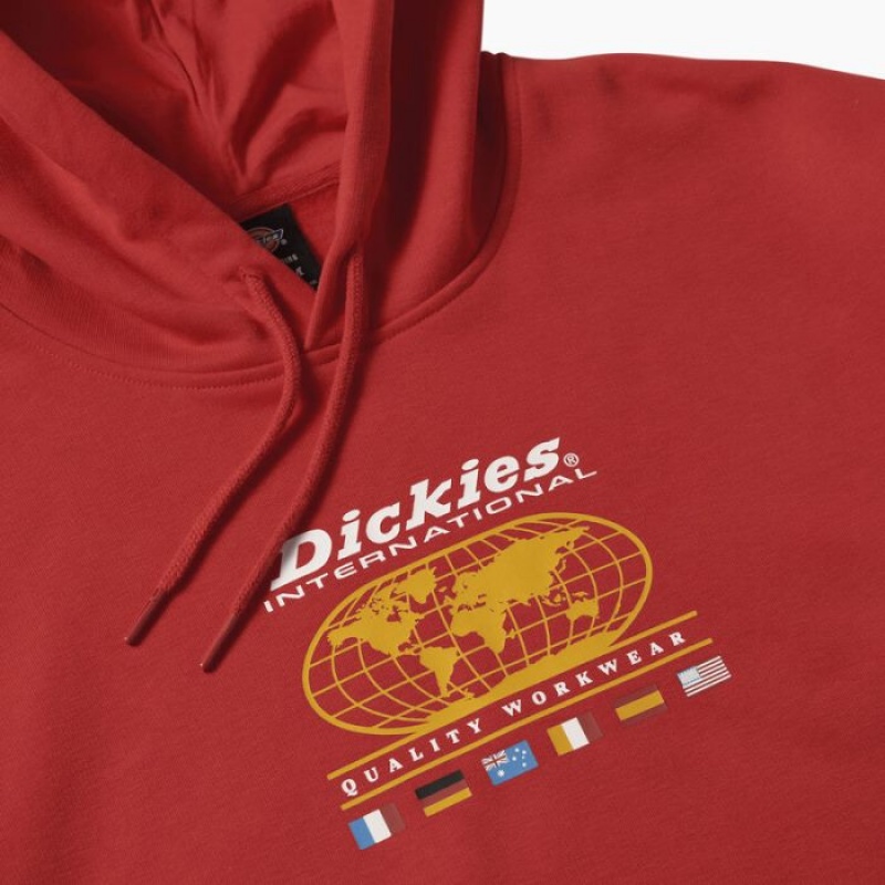 Dickies Jake Hayes Grafice Hoodie Regular | ITXK9601