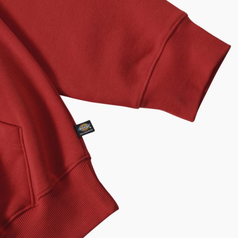 Dickies Jake Hayes Grafice Hoodie Regular | ITXK9601