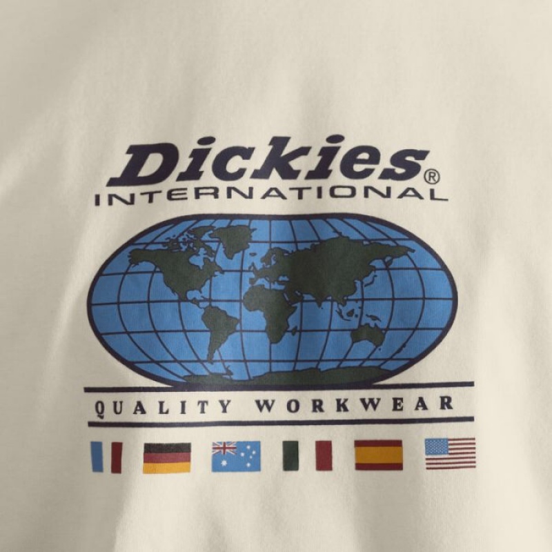 Dickies Jake Hayes Grafice T-Shirt Bej | IEJR6806