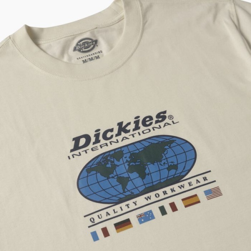 Dickies Jake Hayes Grafice T-Shirt Bej | IEJR6806