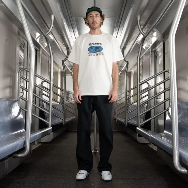 Dickies Jake Hayes Relaxed Fit Duck Pants Negrii | BDUK4930