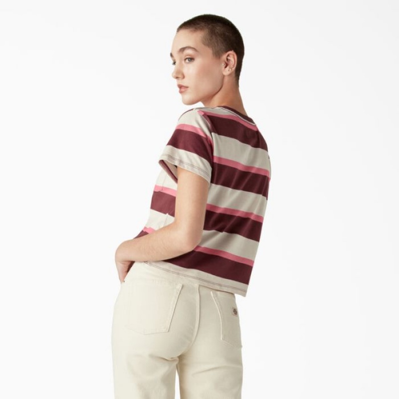Dickies Large In Dungi Cropped Pocket T-Shirt Roz Bleumarin | UBVS0821