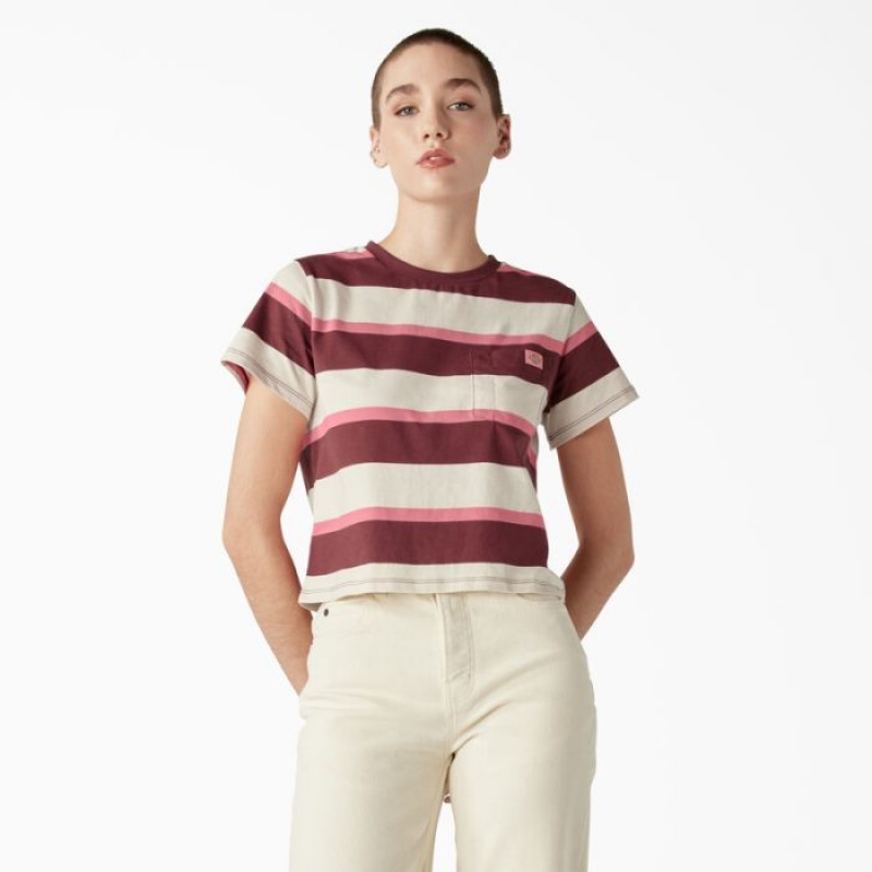 Dickies Large In Dungi Cropped Pocket T-Shirt Roz Bleumarin | UBVS0821