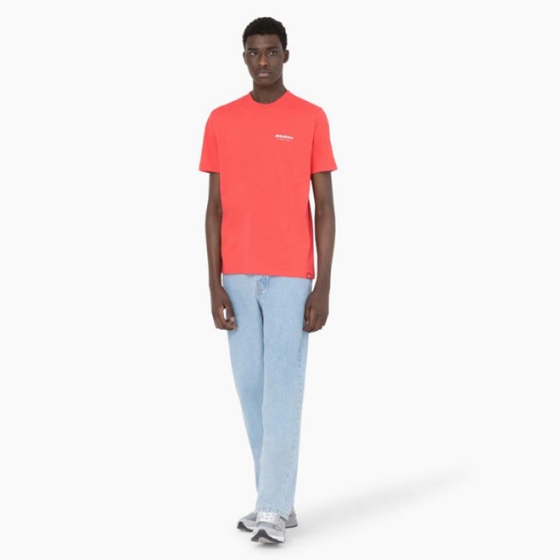 Dickies Leesburg Scurte Sleeve T-Shirt Bittersweet | YVES7467