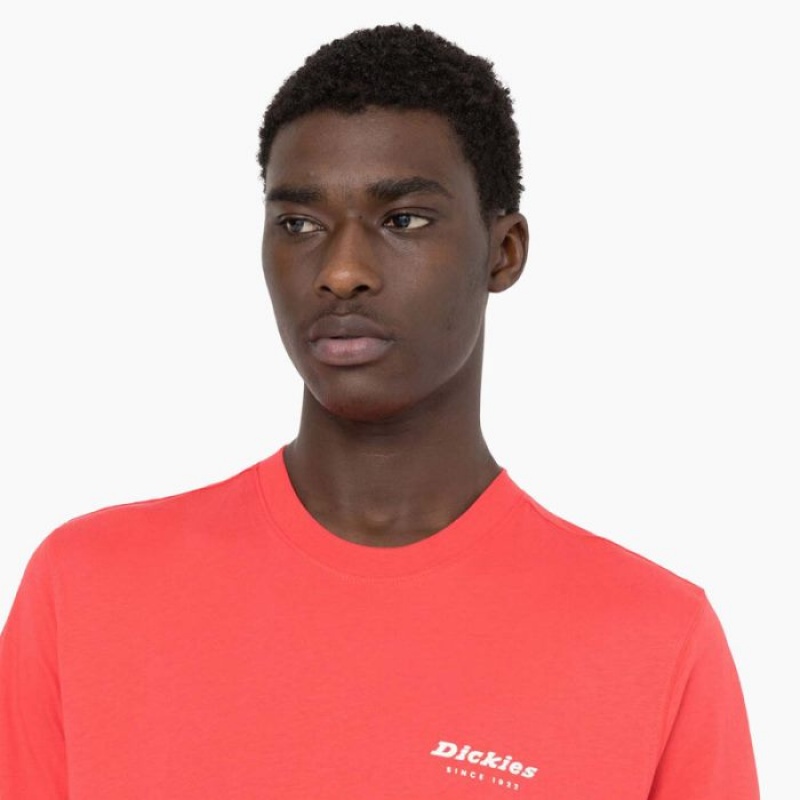 Dickies Leesburg Scurte Sleeve T-Shirt Bittersweet | YVES7467