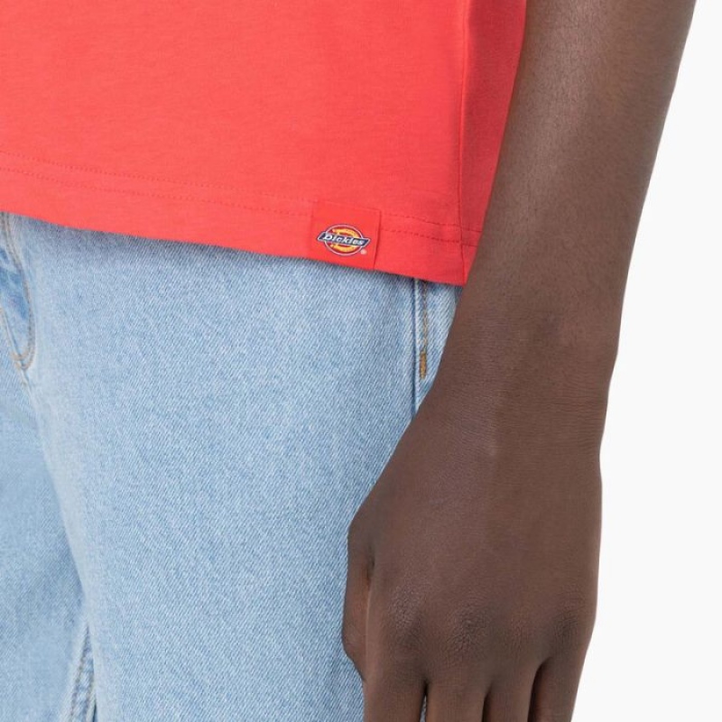 Dickies Leesburg Scurte Sleeve T-Shirt Bittersweet | YVES7467