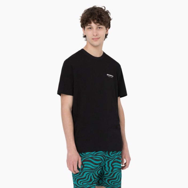 Dickies Leesburg Scurte Sleeve T-Shirt Negrii | GMYT2579