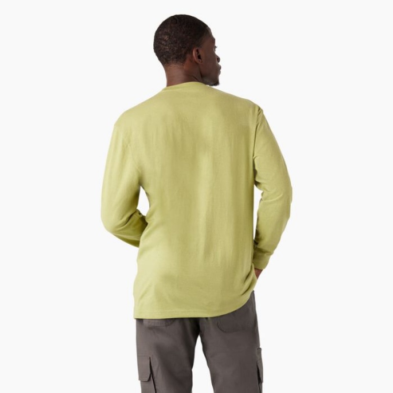 Dickies Long Sleeve Heavyweight Logo T-Shirt Fern Heather | TPDU4793