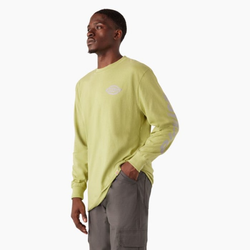 Dickies Long Sleeve Heavyweight Logo T-Shirt Fern Heather | TPDU4793