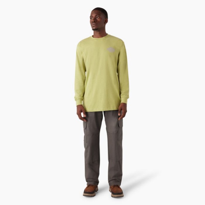 Dickies Long Sleeve Heavyweight Logo T-Shirt Fern Heather | TPDU4793