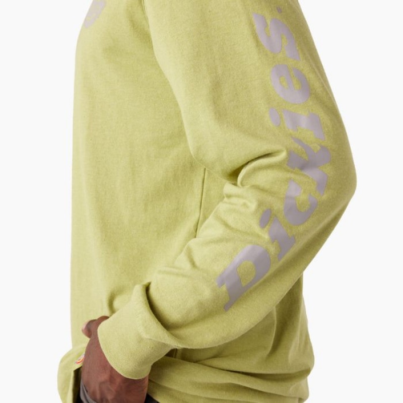 Dickies Long Sleeve Heavyweight Logo T-Shirt Fern Heather | TPDU4793
