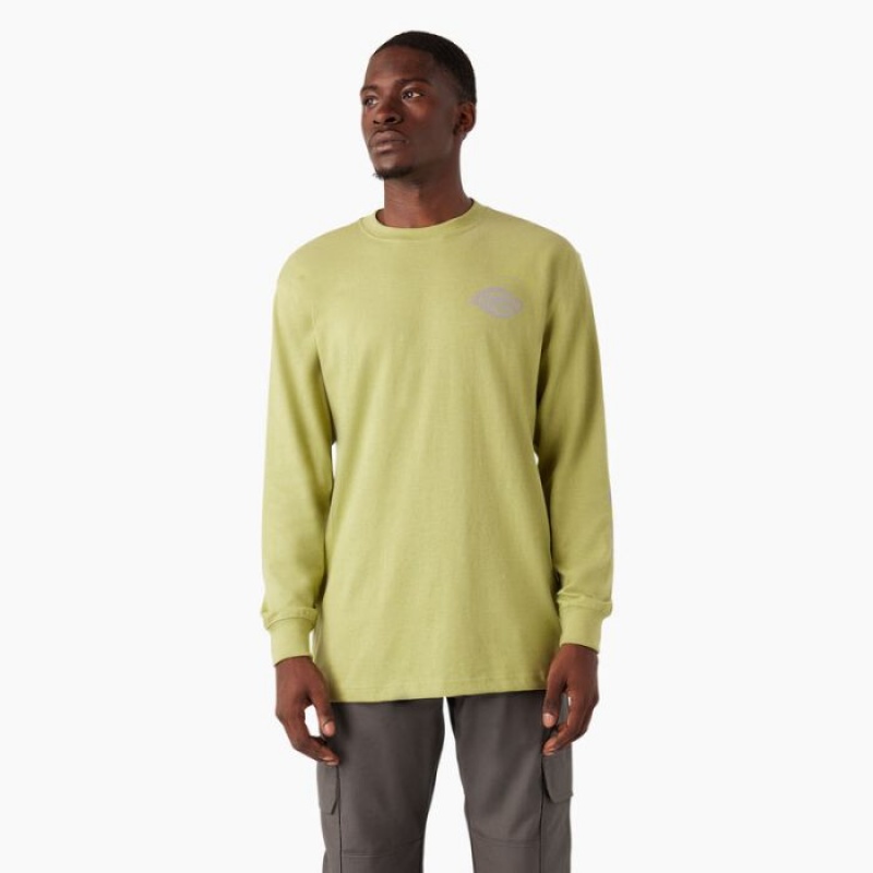 Dickies Long Sleeve Heavyweight Logo T-Shirt Fern Heather | TPDU4793