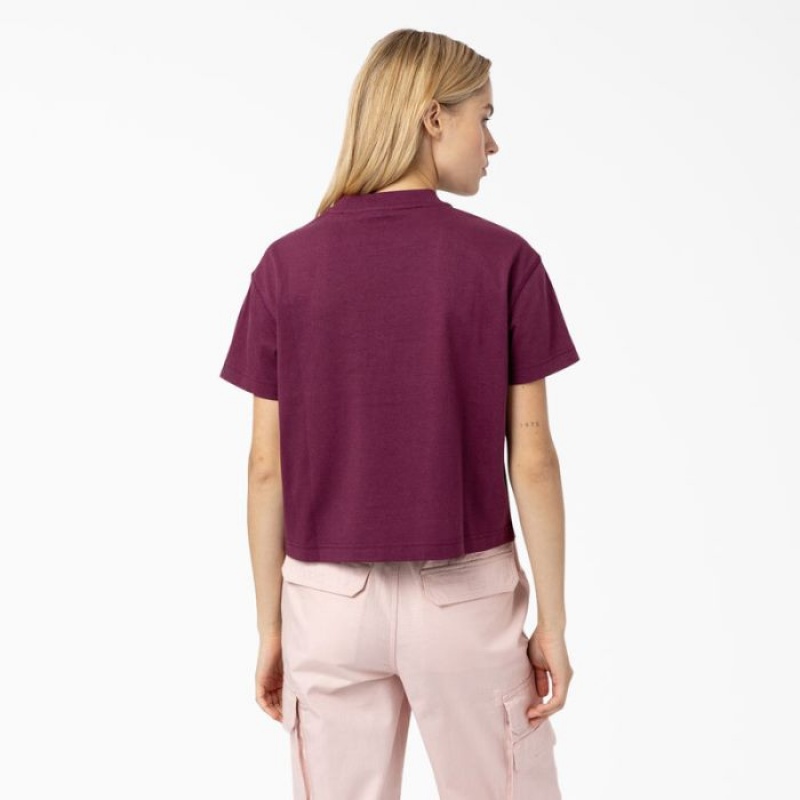 Dickies Loretto Cropped T-Shirt Violet Visinii | QKKH2134