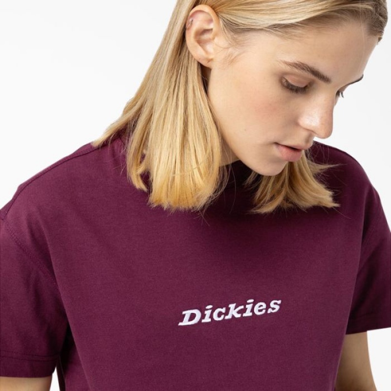 Dickies Loretto Cropped T-Shirt Violet Visinii | QKKH2134