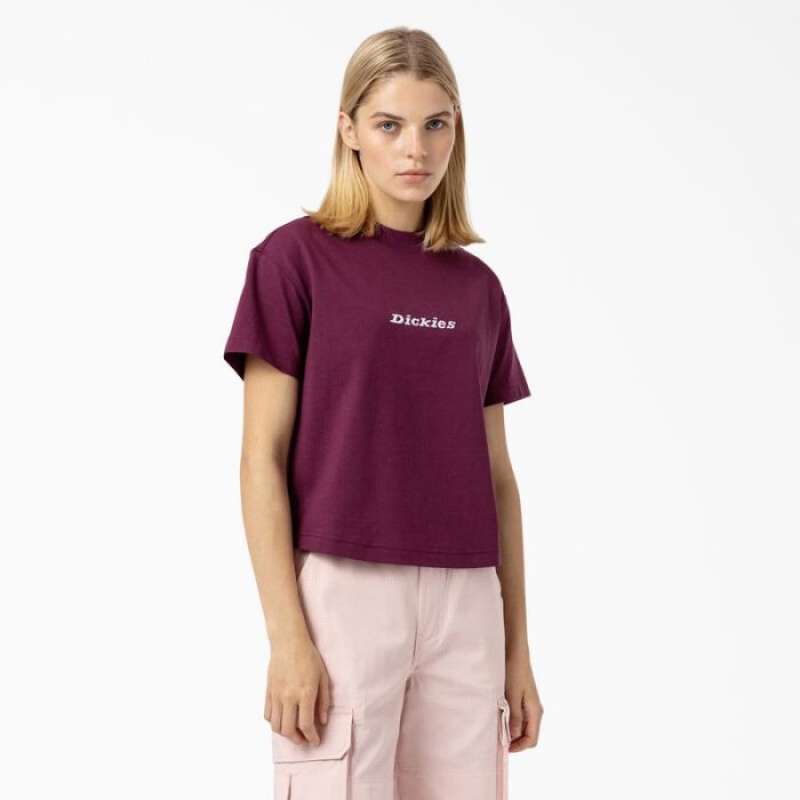 Dickies Loretto Cropped T-Shirt Violet Visinii | QKKH2134