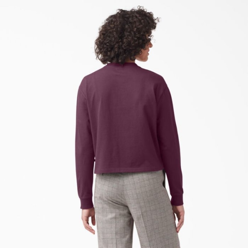 Dickies Loretto Long Sleeve Cropped T-Shirt Violet Visinii | DQDX0721