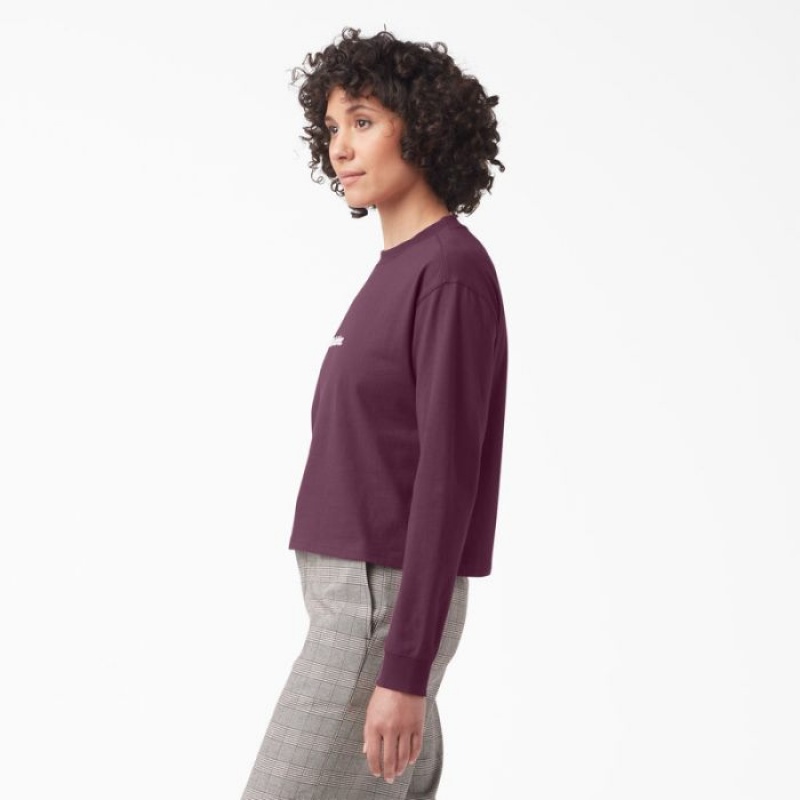 Dickies Loretto Long Sleeve Cropped T-Shirt Violet Visinii | DQDX0721