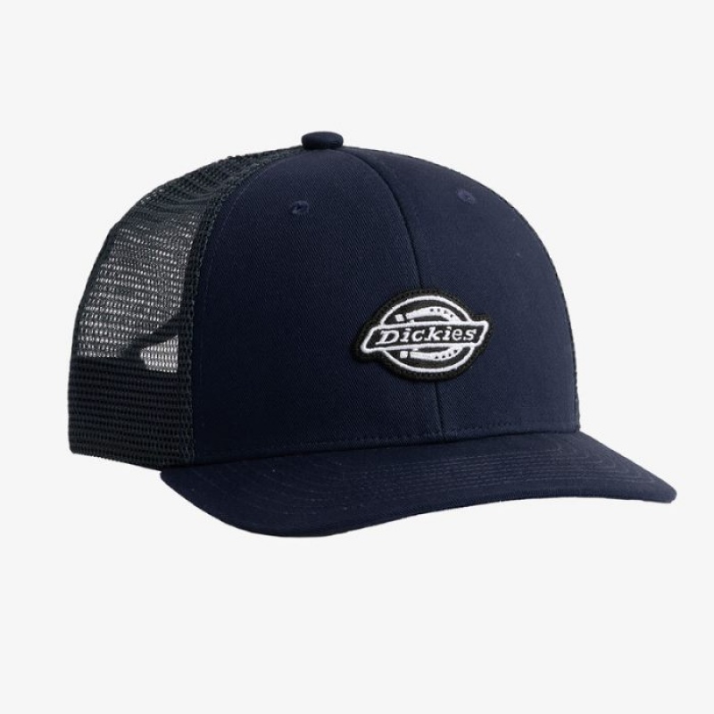 Dickies Low Pro Logo Trucker Hat Bleumarin | EURP6027